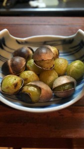 IMG_9589